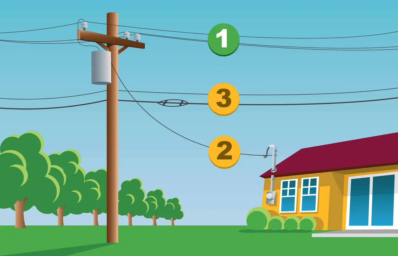 Tree pruning responsibility graphic