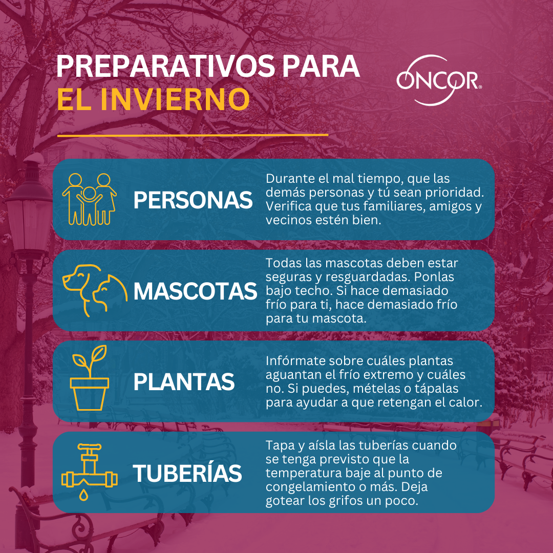 preparativos para el invierno 