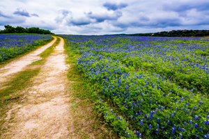 Oncor Article Image