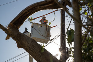 Oncor Article Image